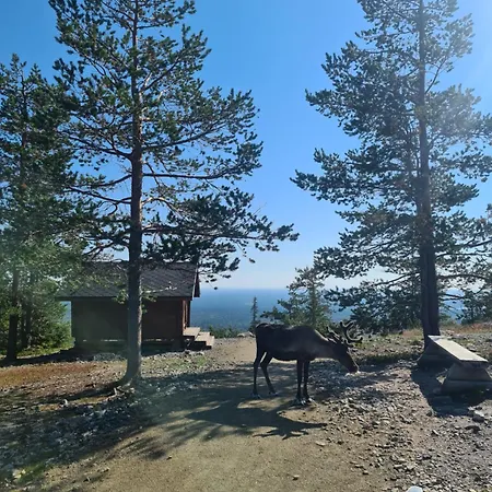 Polar Charm A Ylläs